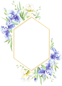 Watercolor iris frame. Hand-painted clipart png