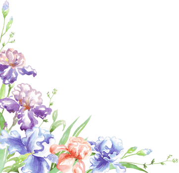 Watercolor iris frame. Hand-painted clipart png