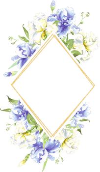 Watercolor iris frame. Hand-painted clipart png