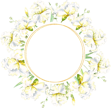 White irises frame. Watercolor clipart png