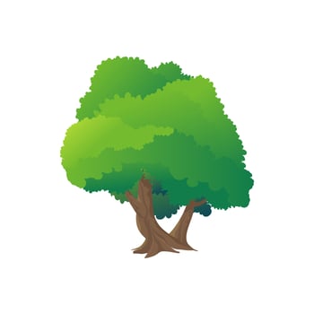 Different Green Tree. Vector illustration of Various Type Wood. Vector illustration.
