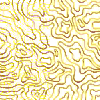 abstract gold liquid line vector illustration