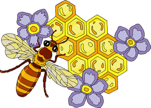 Illustration of a bee, flowers and honeycomb. vector