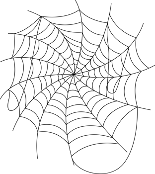Hand drawn spider web icon png