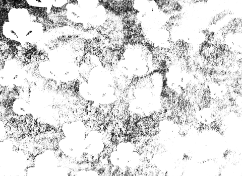 Rustic grunge texture with grain and stains. Abstract noise background. PNG graphic illustration with transparent background.