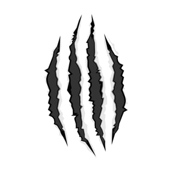 Wild beast scratches vector. Claws scratches carnivore animal lion, tiger, cat, wolf, bear vector illustration