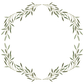 Flower Frames design png