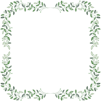 Flower Frames design png