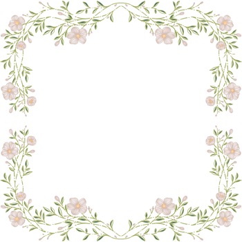 Flower Frames design png