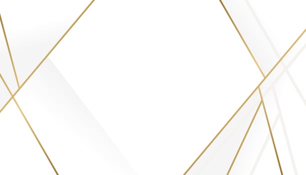 Luxury Gold Geometric line border on white background vector