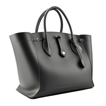 Black Bag isolated. png