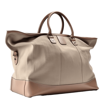 Beige Bag isolated. png