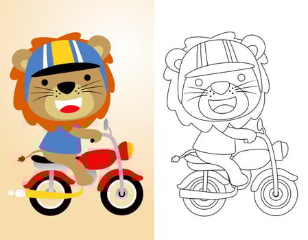 Coloring book or page with cute lion cartoon wearing helmet riding motorcycle vector