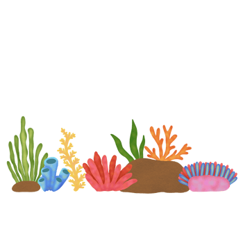 Coral Reef Composition png