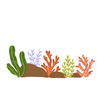 Coral Reef Composition png