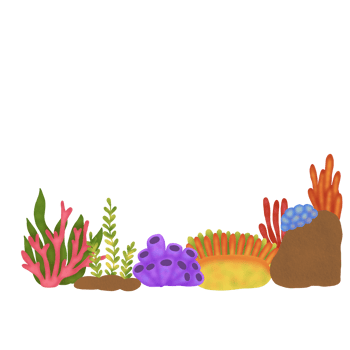Coral Reef Composition png