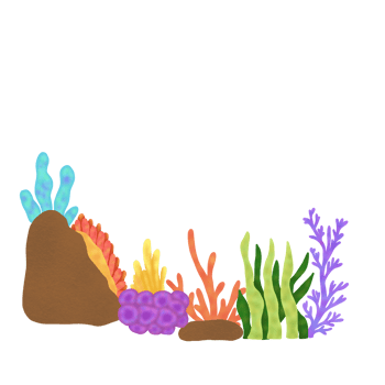 Coral Reef Composition png