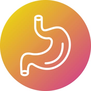 Stomach Vector Icon Design Illustration
