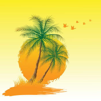 Palm tree and sun vector design