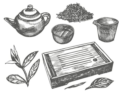 Set of ink hand drawn tea infuser illustration. Vector hand drawn illustration. Tea ceremony.