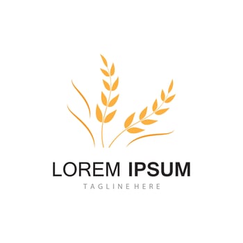 Agriculture wheat vector