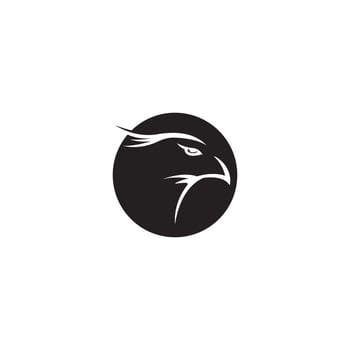 Falcon Logo Template vector