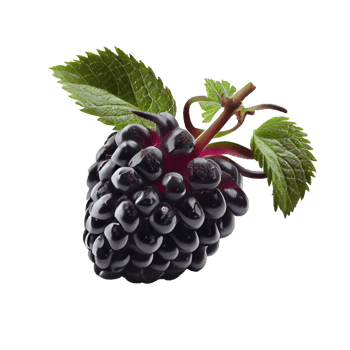 Blackberry cut out png, Blackberry on transparent background png