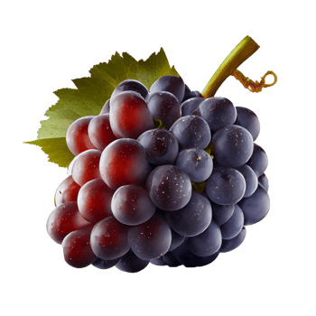 Free Bunch of grapes on png transparent background