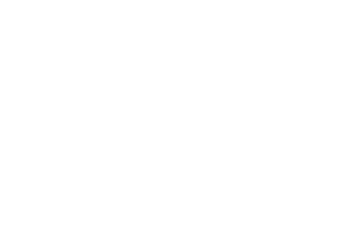 Grunge paintbrush. Ink stroke brush png