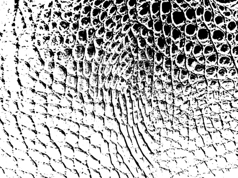 Rustic cracked texture with many cracks and scratches. Abstract background. PNG graphic illustration with transparent background.