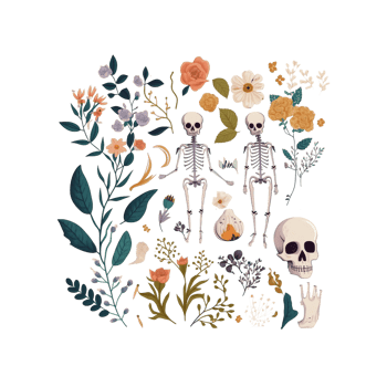Illustration of Skeleton and Botanical, Bones, Flowers. png