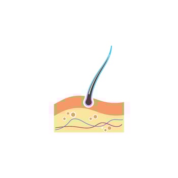 hair root icon vector illustration design