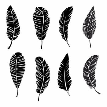set of highly detailed feathers isolated on white background vector