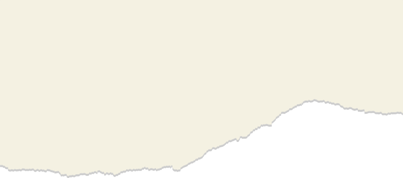 Torn ripped paper sheet. Paper scrap. Notebook paper strip png