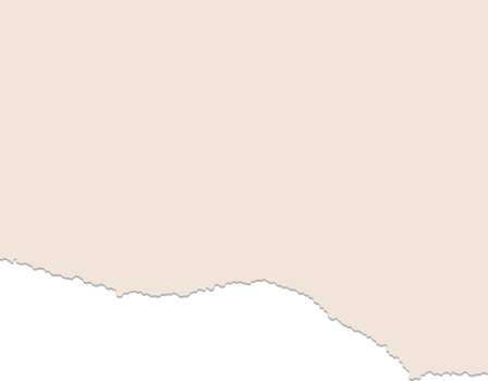 Torn ripped paper sheet. Paper scrap. Notebook paper strip png