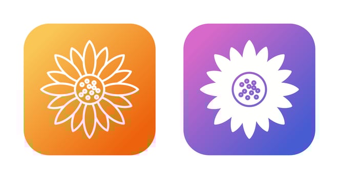 Sunflower Vector Icon