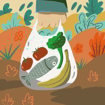 fresh food shoping illustration vector