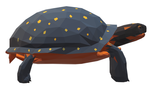 Low poly Tortoise Side view on a Transparent Background png