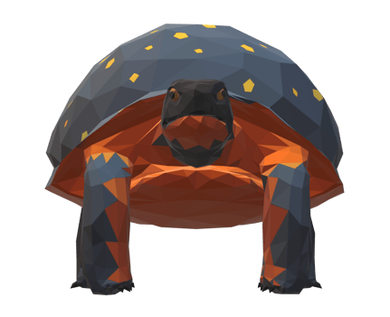 Low poly Tortoise Front view on a Transparent Background png