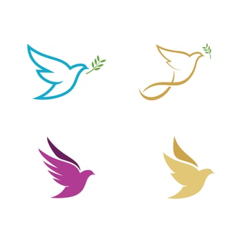 Bird wing Dove icon Template vector illustration