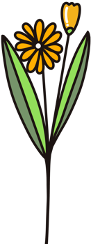 Simple of Flower png