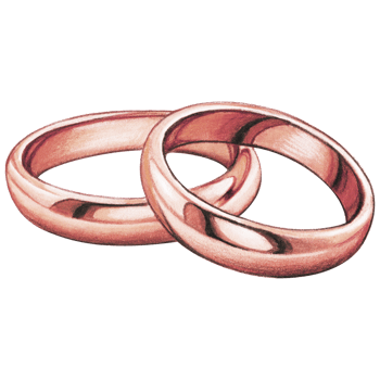 watercolor hand drawn wedding rings png