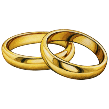 watercolor hand drawn wedding rings png
