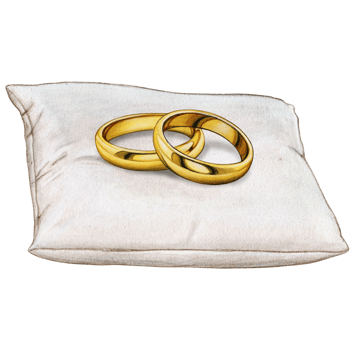 watercolor hand drawn wedding rings on cushion png