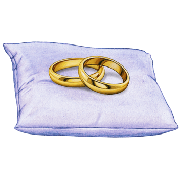 watercolor hand drawn wedding rings on cushion png