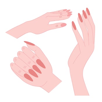 Woman hands with nude manicure set. Different kinds of woman hands with beige manicure vector flat set