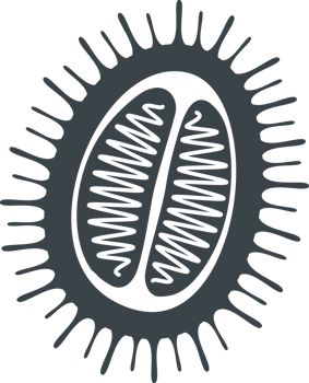 Virus Element Icon png