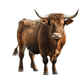 Bull Cow Animal Old Cow Buffalo Ox Horn Beef Toy White Transparent png