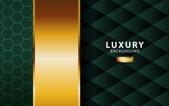 luxury premium gold and green vector background banner design with golden line.