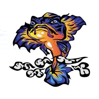 vector illustration, channa fish